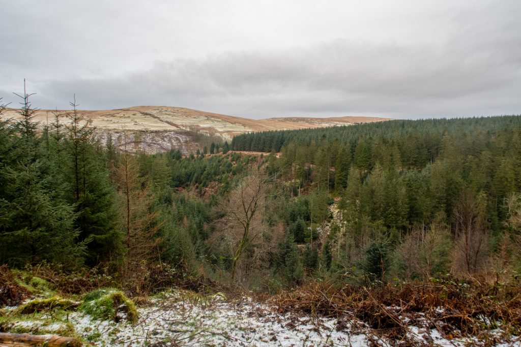 blengdale viewpoint