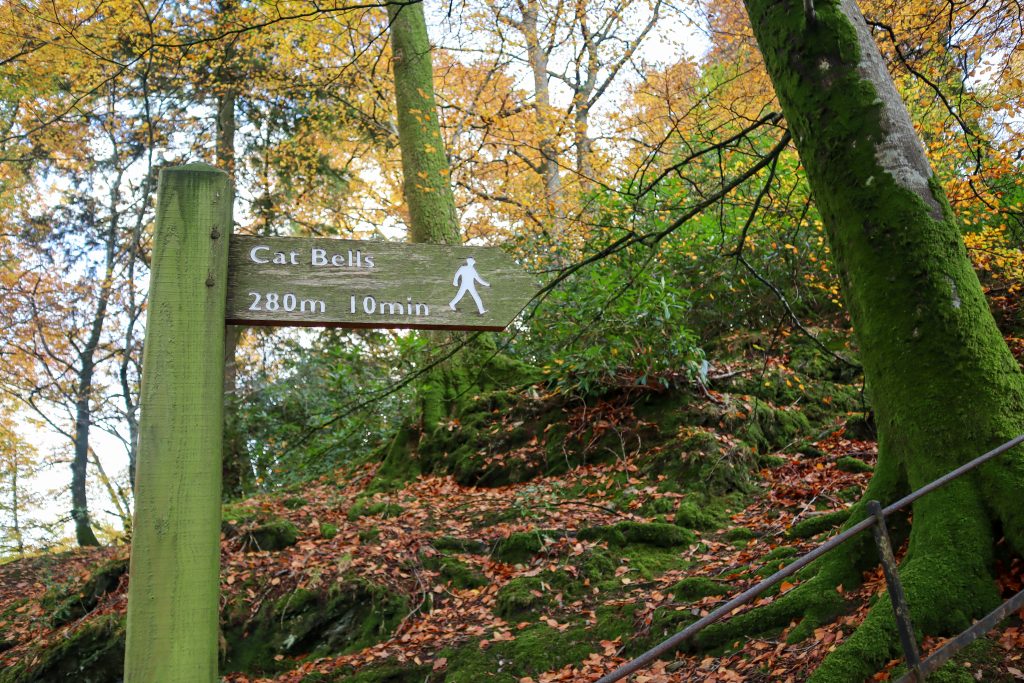 Catbells signage